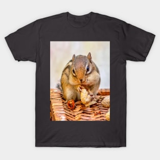 Sweet chipmunk shares a peanut T-Shirt